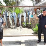 Daliken Sportfishing San José del Cabo
