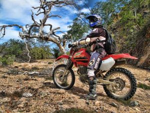 Baja Dirt - ATV Tours