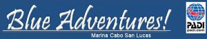 blue-adventures-logo