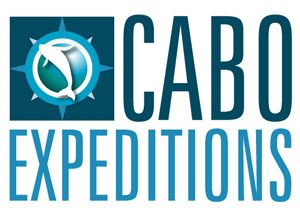 Cabo Expeditions - ATV Tours