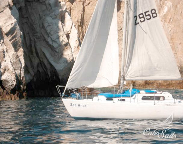 boat cruises: Cabo Sails