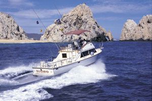 fishing-boat-cabo-bandido-315-020047-2