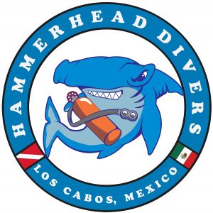 hammerhead-divers-cabo-shark-logo-2