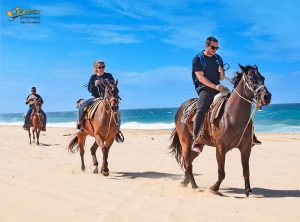 horses-beach-G-Force Adventures-cabo