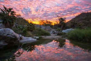 Nature's Hot Tubs or Thermal Springs in Los Cabos | Los Cabos Guide - Nearby Areas