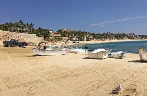 Blue Flag Beaches in Los Cabos