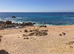 Playa Las Viudas, Los Cabos Tourist Corridor, 2016