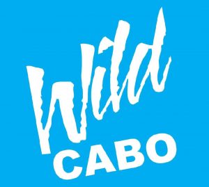wild-cabo-tours-logo